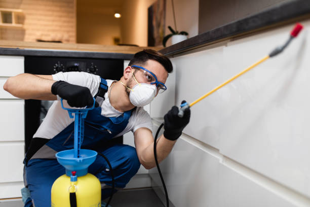 Best Pest Inspection Near Me  in Kimberly, AL