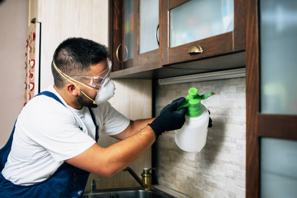 Best Cockroach Control Services  in Kimberly, AL