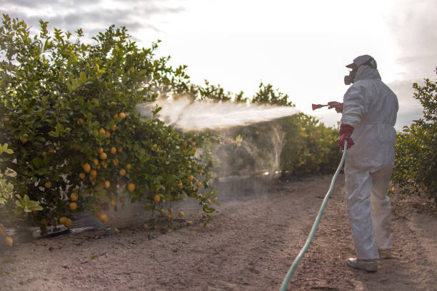Best Emergency Pest Control  in Kimberly, AL