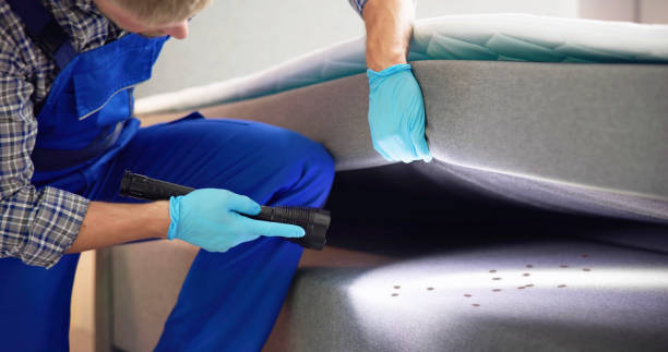 Best Pest Removal Services  in Kimberly, AL