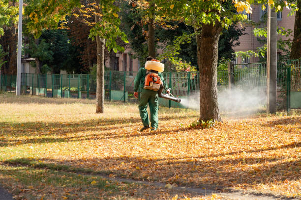 Insect Control in Kimberly, AL