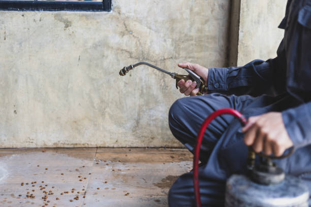 Best Pest Control Near Me in Kimberly, AL